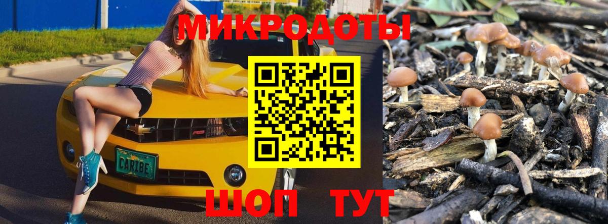 Псилоцибиновые грибы Psilocybine cubensis  Вход с VPN  Галлюциногенные грибы прущие грибы  купить  цена  Урус-Мартан 